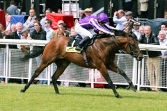 Bushranger PML 0069742.JPG