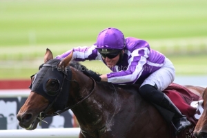 13 August 2020;  Delphi, Seamie Heffernan aboard, winning The Comer Group Irish St Leger Trial Stakes at The Curragh.© Peter Mooney, 59 Upper George's Street, Dun Laoghaire, Co. Dublin, A96 H2R3, Ireland  Tel: 00 353 (0)86 2589298