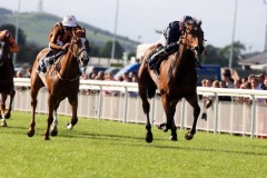 Dreamtheimpossible PML 0076595.JPG