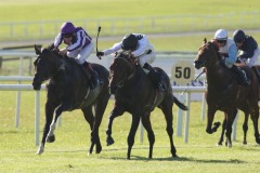 Border Patrol PML 00100034.JPG