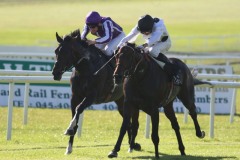 Border Patrol PML 00100043.JPG