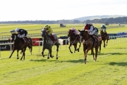 13 September 2020;  Search For A Song, ridden by Oisin Orr, white sleeves, winning The Comer Group International Irish St. Leger at The Curragh. © Peter Mooney, 59 Upper George's Street, Dun Laoghaire, Co. Dublin, A96 H2R3, Ireland  Tel: 00 353 (0)86 2589298