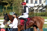 13 September 2020;  Search For A Song, ridden by Oisin Orr, winning The Comer Group International Irish St. Leger at The Curragh. © Peter Mooney, 59 Upper George's Street, Dun Laoghaire, Co. Dublin, A96 H2R3, Ireland  Tel: 00 353 (0)86 2589298