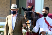 13 September 2020;  Search For A Song, ridden by Oisin Orr, winning The Comer Group International Irish St. Leger at The Curragh. © Peter Mooney, 59 Upper George's Street, Dun Laoghaire, Co. Dublin, A96 H2R3, Ireland  Tel: 00 353 (0)86 2589298