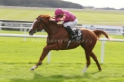 Moyglare 130926PML3884.jpg