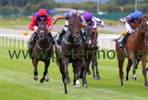 sioux-nation-130817pml0866 sioux-nation-130817pml0866