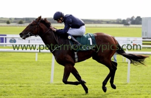 air-force-blue-130915pml646 air-force-blue-130915pml646