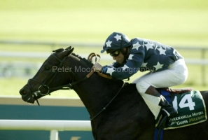 Luck Money PML 0049568.JPG