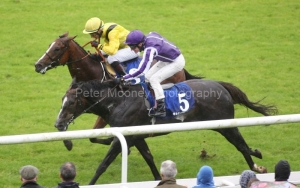 Mastercraftsman PML 0076715.JPG Mastercraftsman PML 0076715.JPG