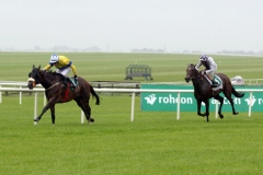 Jumbajukiba PML 0076635.JPG