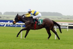 Jumbajukiba PML 0076641.JPG