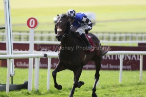 Al Riffa 140925PML1216.jpg