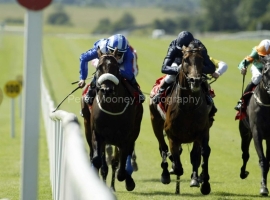 Mustameet PM00341620.jpg Mustameet PM00341620.jpg