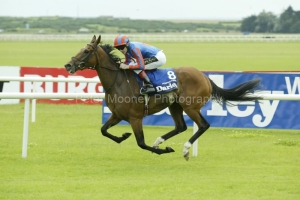 Peeping Fawn PML 0043444 Peeping Fawn PML 0043444