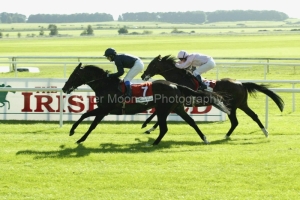 Yeats PML 0050161.JPG Yeats PML 0050161.JPG