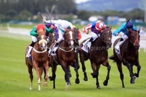 Royal Diamond-PML 00196978 Royal Diamond-PML 00196978