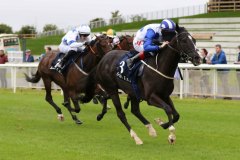 15 September 2019;  BUFFER ZONE, Colin Keane up, defeating Make A Challenge, Joe Sheridan up, in The Irish Stallion Farms European Breeders Fund 'Bold Lad' Sprint Handicap at The Curragh.      © Peter Mooney, 59 Upper George's Street, Dun Laoghaire, Co. Dublin A96 H2R3, Ireland.    Tel:  00 353 (0)86 2589298