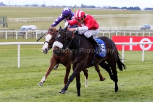 Orandi 160325PML0487.jpg