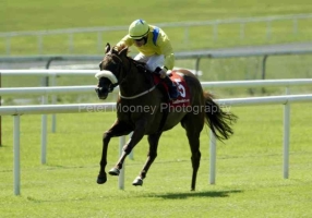 Moonlight Dance PMOO325561.jpg Moonlight Dance PMOO325561.jpg