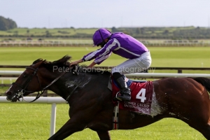 16 August 2019;  SOUTHERN FRANCE, Ryan Moore up, comfortably winning The Comer Group International Irish St Leger Trial Stakes at The Curragh.      © Peter Mooney, 59 Upper George's Street, Dun Laoghaire, Co. Dublin A96 H2R3, Ireland.    Tel:  00 353 (0)86 2589298