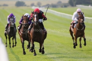 Leinster 160825PML0565.jpg