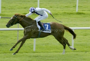 New Approach PML 0050325.JPG