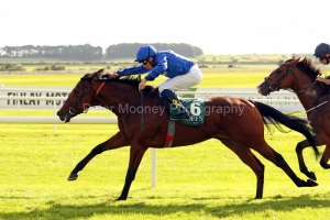 16 September 2018:  QUORTO, William Buick up, proves to be too good for Anthony Van Dyck, Ryan Moore up, in The Goffs Vincent O'Brien National Stakes at The Curragh.© Peter Mooney, 59 Upper George's Street, Dun Laoghaire, Co. Dublin, Ireland.    Tel:  00 353 (0)86 2589298