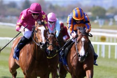 17 April 2021;  Broome, Ryan Moore up, right, defeating Thundering Nights, Shane Crosse up, in The Holden Plant Rentals Alleged Stakes at The Curragh.© Peter Mooney, 59 Upper George's Street, Dun Laoghaire, Co. Dublin, A96 H2R3, Ireland  Tel: 00 353 (0)86 2589298