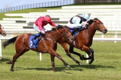 17 April 2021;   Glounthaune, Ryan Moore up, far side, holds the challenge of Castle Star, Colin Hayes up, to win The Irish Stallion Farms European Breeders Fund Maiden at The Curragh.© Peter Mooney, 59 Upper George's Street, Dun Laoghaire, Co. Dublin, A96 H2R3, Ireland  Tel: 00 353 (0)86 2589298