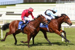 17 April 2021;   Glounthaune, Ryan Moore up, far side, holds the challenge of Castle Star, Colin Hayes up, to win The Irish Stallion Farms European Breeders Fund Maiden at The Curragh.© Peter Mooney, 59 Upper George's Street, Dun Laoghaire, Co. Dublin, A96 H2R3, Ireland  Tel: 00 353 (0)86 2589298