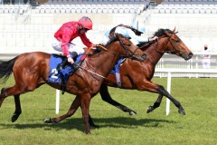 17 April 2021;   Glounthaune, Ryan Moore up, far side, holds the challenge of Castle Star, Colin Hayes up, to win The Irish Stallion Farms European Breeders Fund Maiden at The Curragh.© Peter Mooney, 59 Upper George's Street, Dun Laoghaire, Co. Dublin, A96 H2R3, Ireland  Tel: 00 353 (0)86 2589298