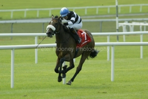 Red Feather PML0002011.jpg Red Feather PML0002011.jpg