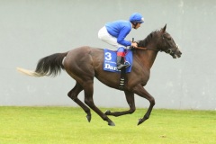 Blue Bunting-PML 00159209