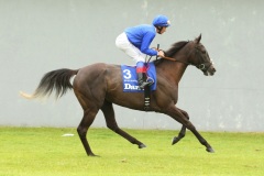 Blue Bunting-PML 00159210