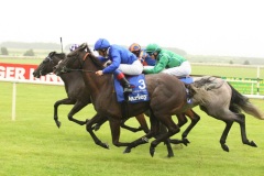 Blue Bunting-PML 00159243