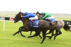 Blue Bunting-PML 00159244