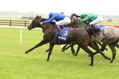 Blue Bunting-PML 00159245