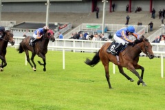 Fire Lily-PML 00159152