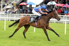 Fire Lily-PML 00159157