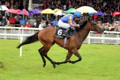 Fire Lily-PML 00159159