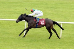 Manieree-PML 00159186