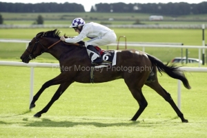 Teofilo PML0023228.jpg Teofilo PML0023228.jpg