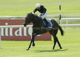 Ouija Board PML0002305.jpg Ouija Board PML0002305.jpg