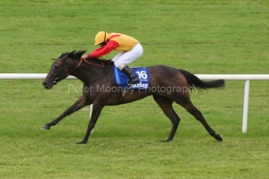 Snow Fairy PML 00128475.JPG Snow Fairy PML 00128475.JPG