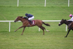 Latin Love PML 00128315.JPG