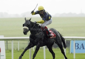 Vinnie Roe PML00038325.jpg Vinnie Roe PML00038325.jpg