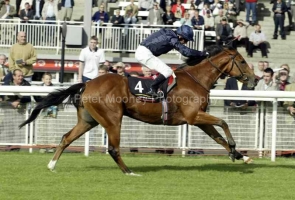 George Washington PMOO328459.jpg George Washington PMOO328459.jpg