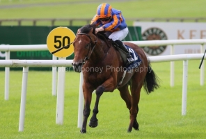 Henry Longfellow 190823PML0734.jpg