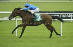 Dubawi PML00038645.jpg Dubawi PML00038645.jpg