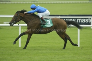 Dubawi PML00038645.jpg Dubawi PML00038645.jpg